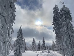 01A68225-2109-4B1D-A96F-6D259E126940.jpeg