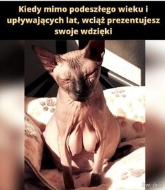 Screenshot_20230210_125253_Facebook.jpg