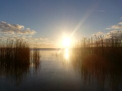 IMG_20230127_155344.jpg