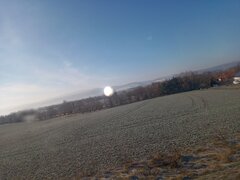 IMG_20230207_100310_9.jpg