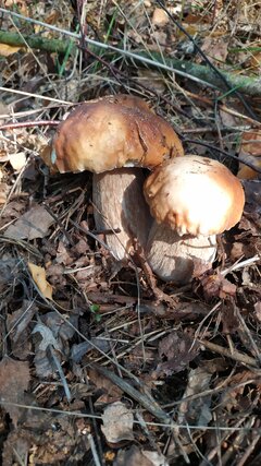 IMG_20221014_095401.jpg