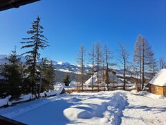 20230215_094258.jpg
