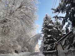 20211127_104350.jpg