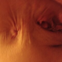 20230115_091453.jpg