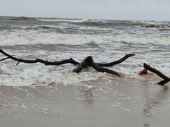 IMG_20230218_135848.jpg