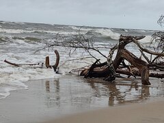 IMG_20230218_135853.jpg