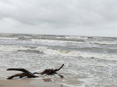 IMG_20230218_135830.jpg