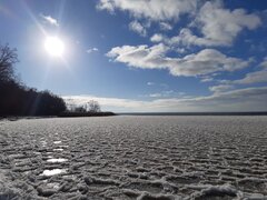 20210131_132611.jpg