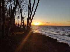 IMG_20230219_165059.jpg