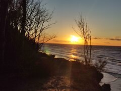 IMG_20230219_164712.jpg