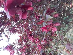 20220503_182516.jpg