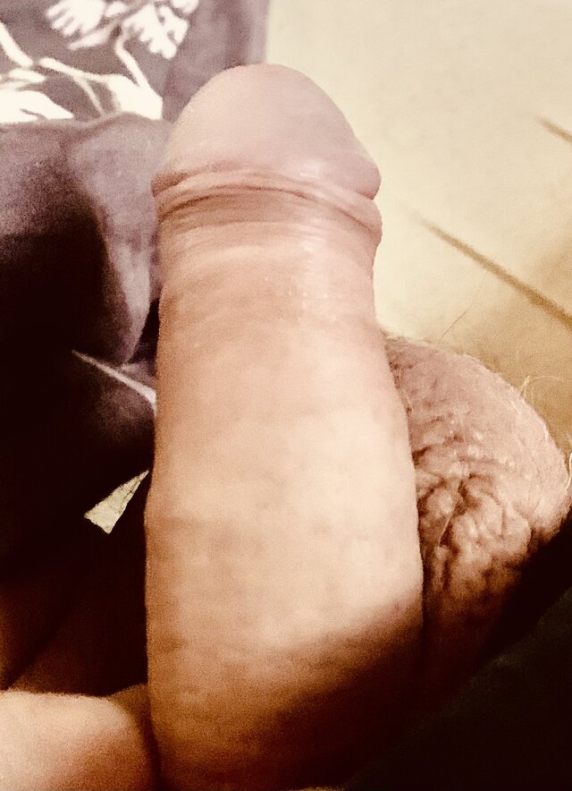 beginersBP