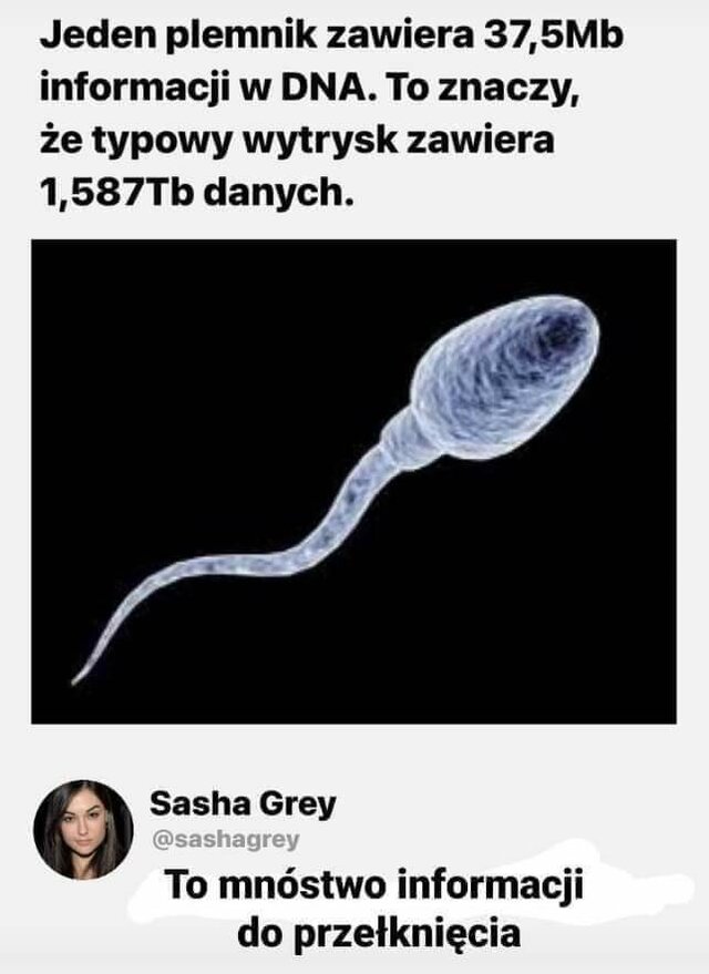 Askakrzys