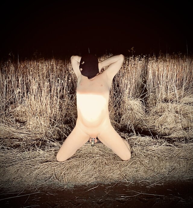 slave73wawa
