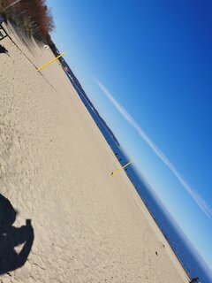 IMG_20230302.jpg