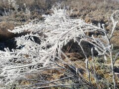 IMG_20230228_081712.jpg