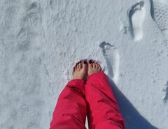 IMG_20230305_095001.jpg