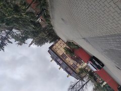 IMG_20230305_120527.jpg
