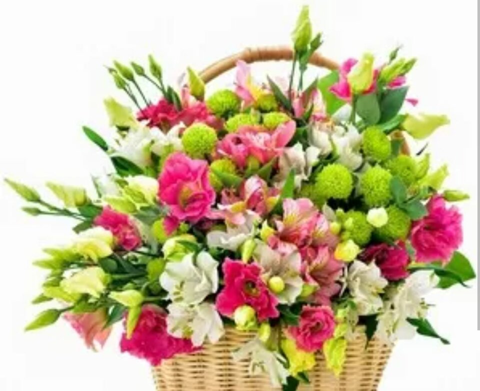 IMG-20230308-WA0006.jpg - piter 28