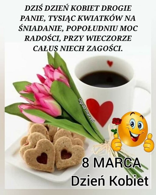 FB_IMG_1678267228996.jpg - driwer1166
