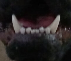 😁