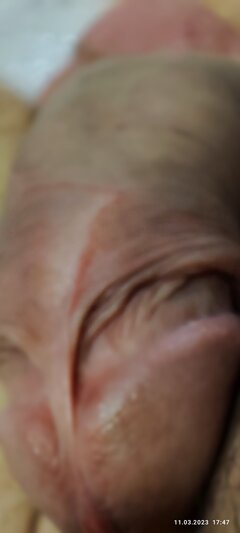 IMG_20230311_174708.jpg