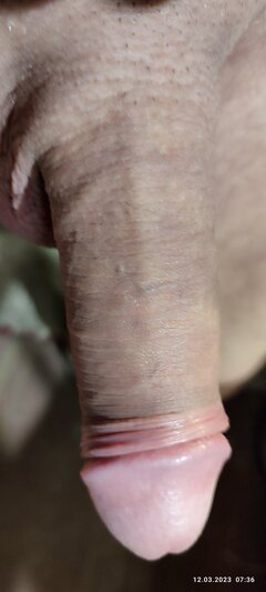 IMG_20230312_073656.jpg