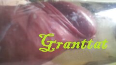 Granttat 35.
