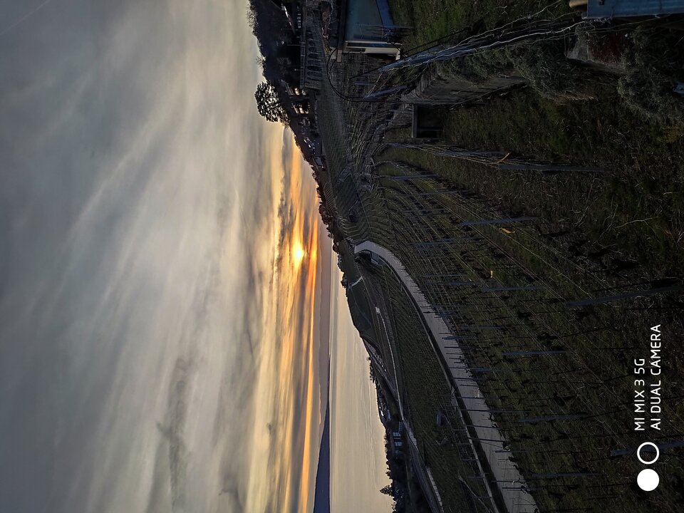 1678641482749_062041.jpg - jaro124589