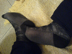 DSC00264.jpg