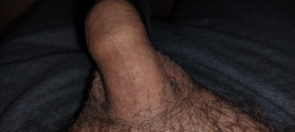 16790107070533989918493673534764.jpg - Dzikusek201