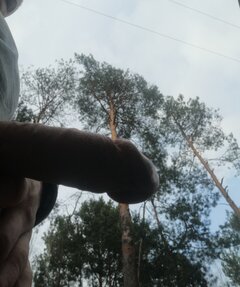 IMG_20230317_162744.jpg