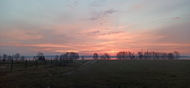 Olek_51