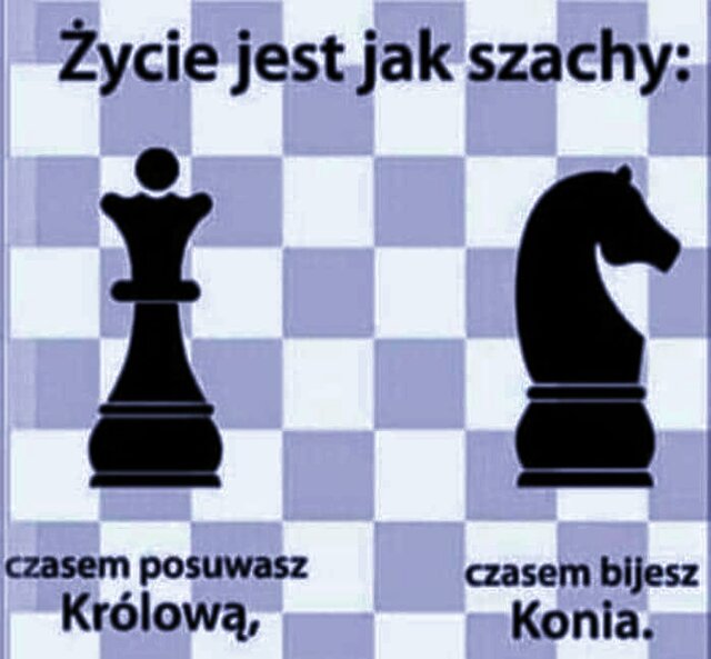 znajomi40