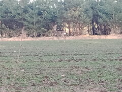 IMG20230321162504.jpg