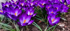 Resized_20230323_122059-2.JPG