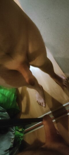 IMG20230311212053.jpg