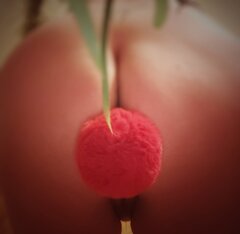 🐰