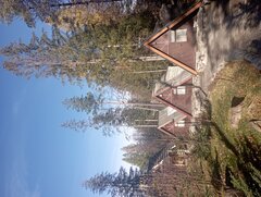 IMG_20221111_130109.jpg