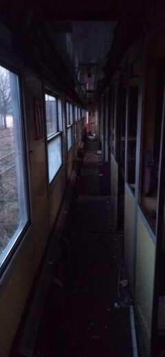 Wagon