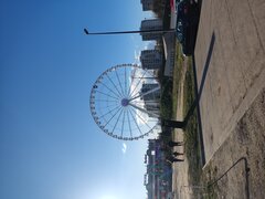 IMG_20230327_172217.jpg