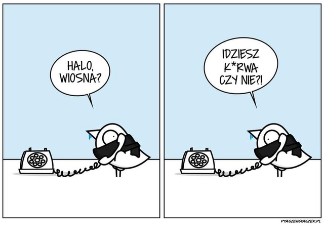 Kundzia77