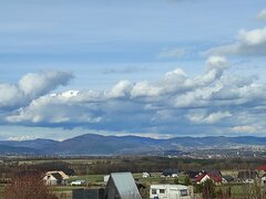 IMG_20230326_154653.jpg