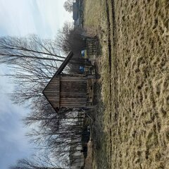 20230322_142225.jpg