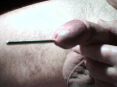 391_1000.jpg