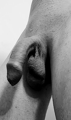 20230330_180004.jpg