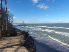 IMG_20230402_102806.jpg