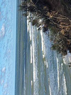 IMG_20230402_112752.jpg