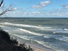 IMG_20230402_112727.jpg