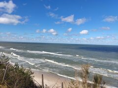 IMG_20230402_114154.jpg